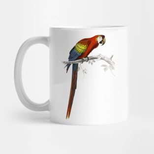 Parrot Mug